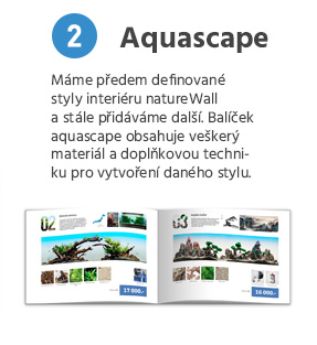 nw-steps3a