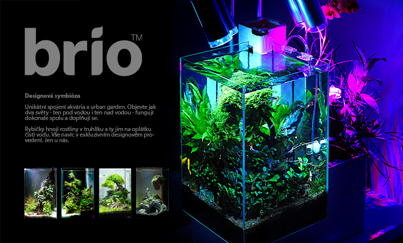 uvod-Brio